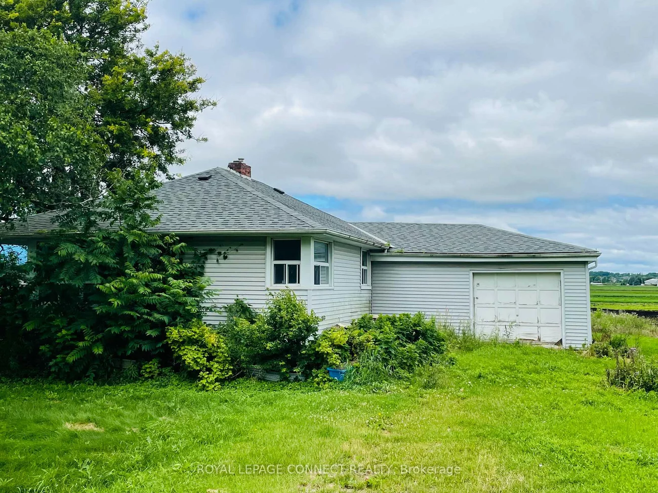 19470, Dufferin, Rural King, King