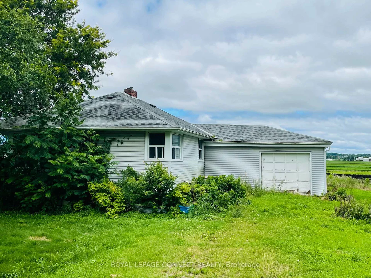19470, Dufferin, Rural King, King