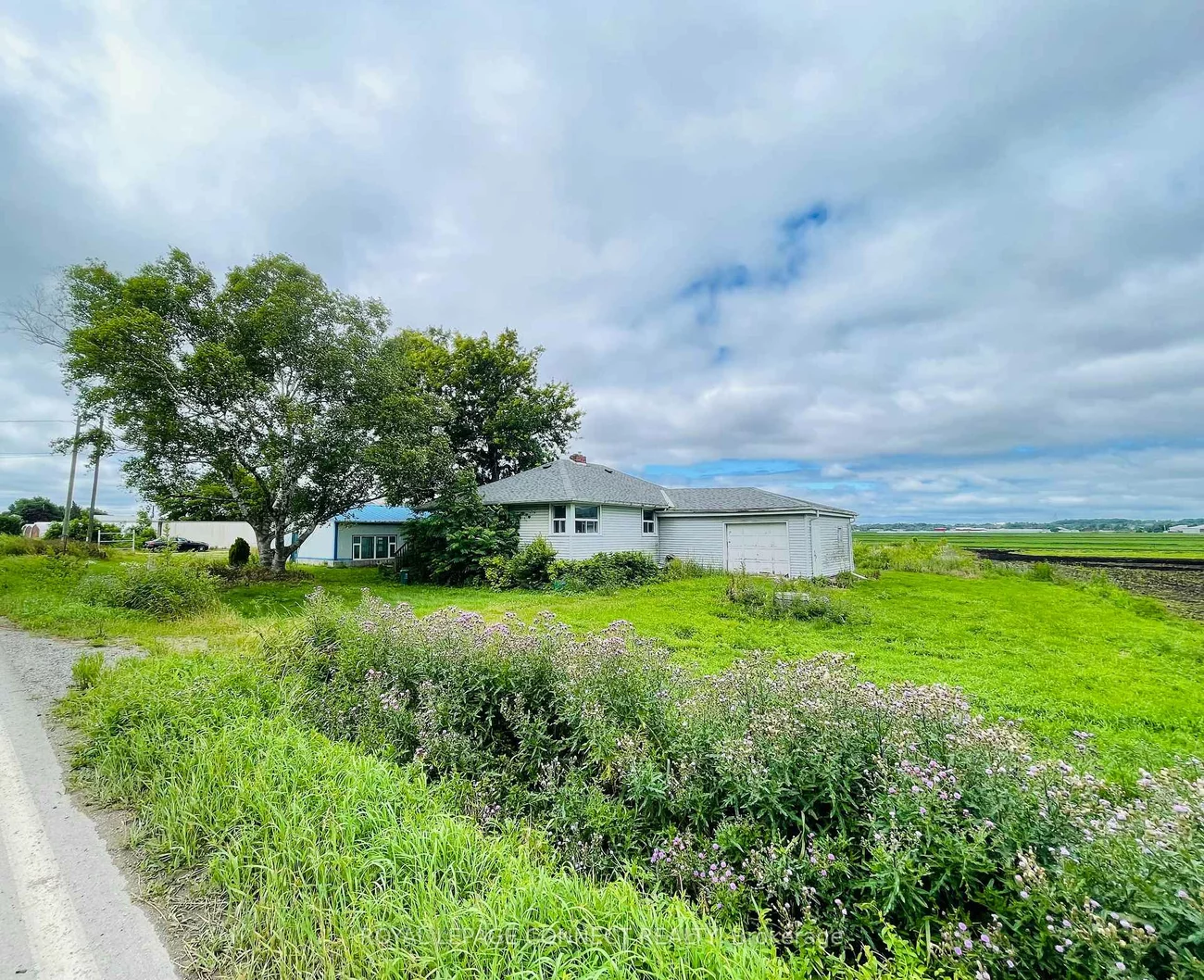 19470, Dufferin, Rural King, King