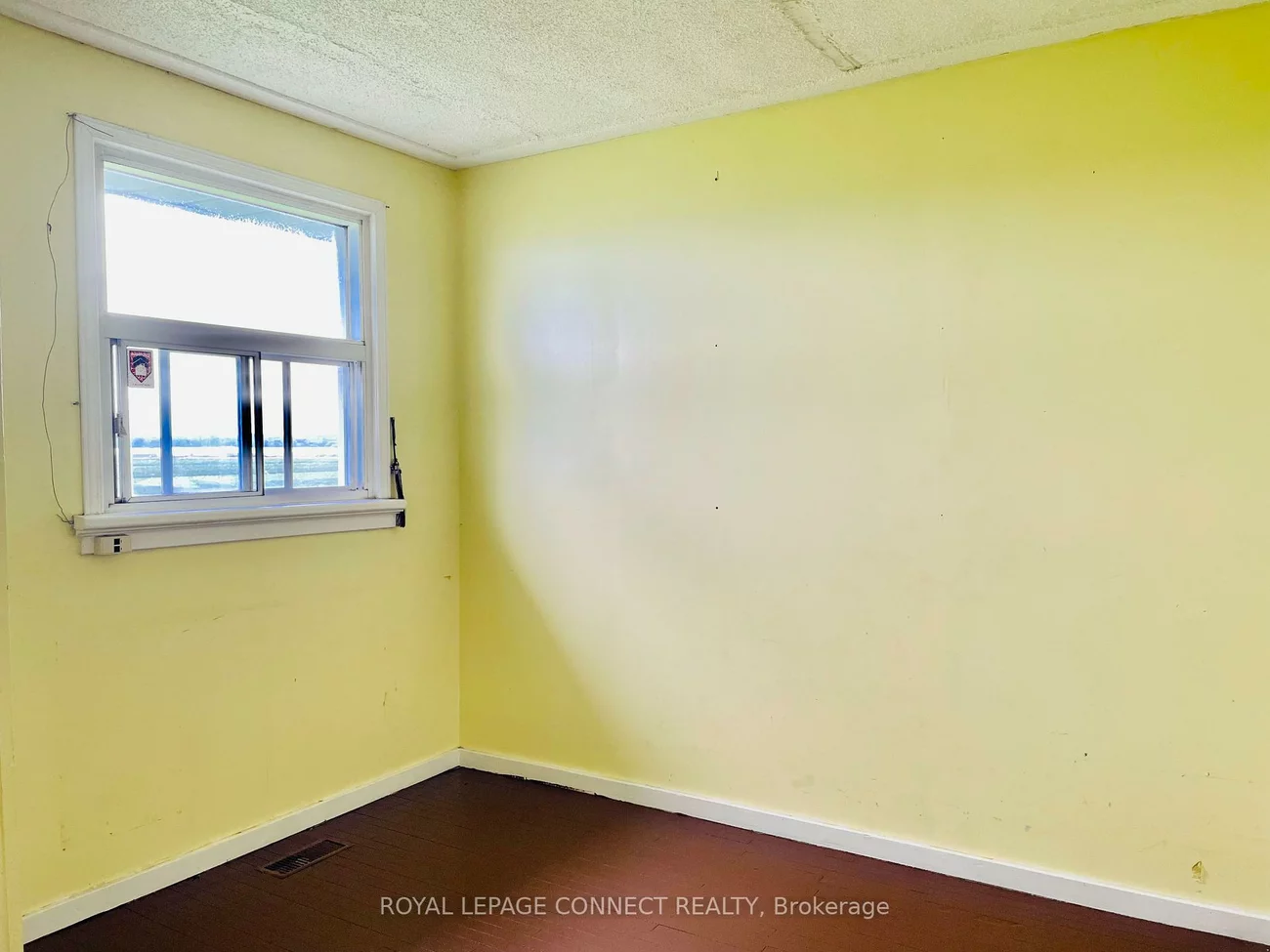 19470, Dufferin, Rural King, King