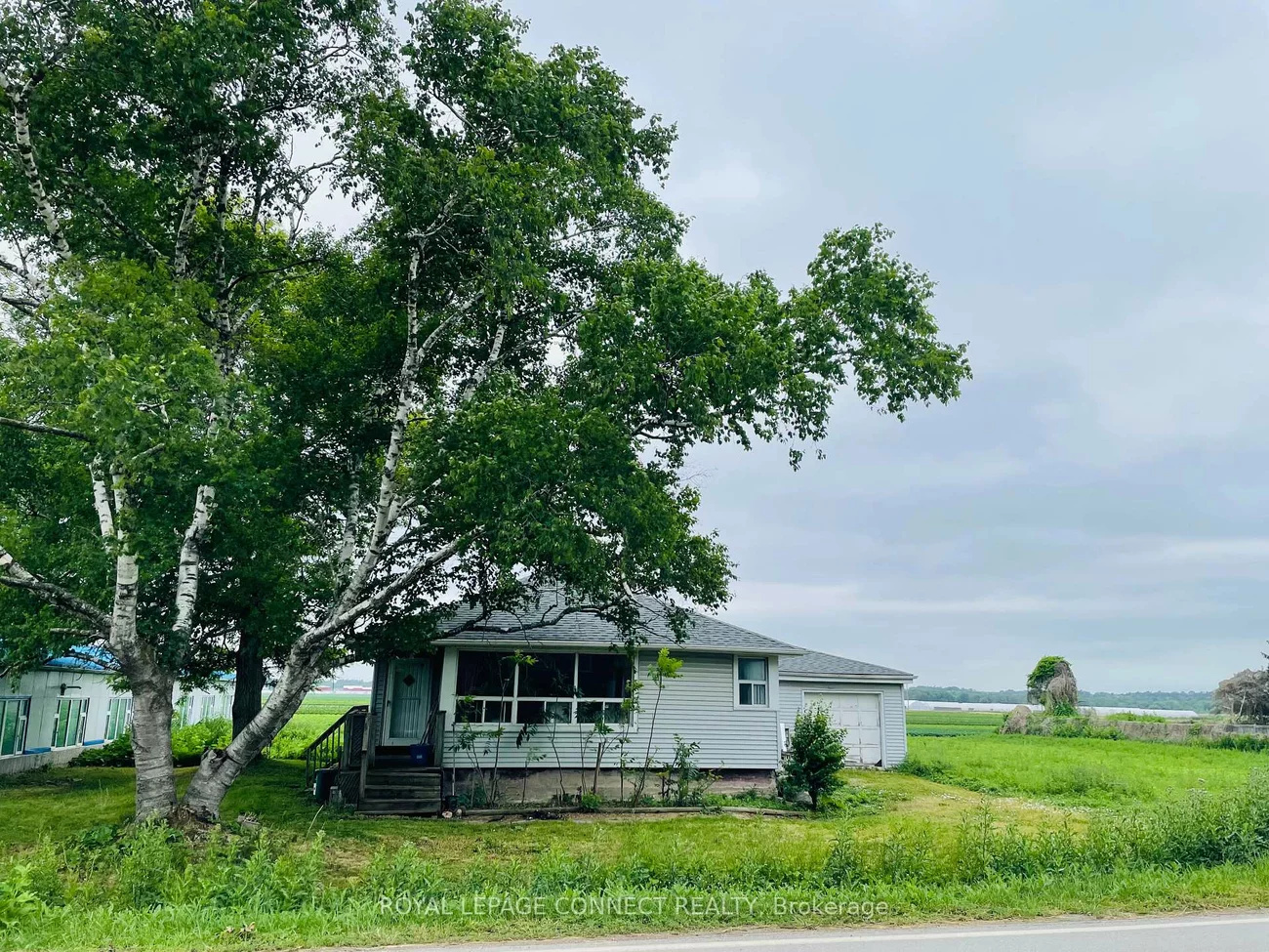 19470, Dufferin, Rural King, King