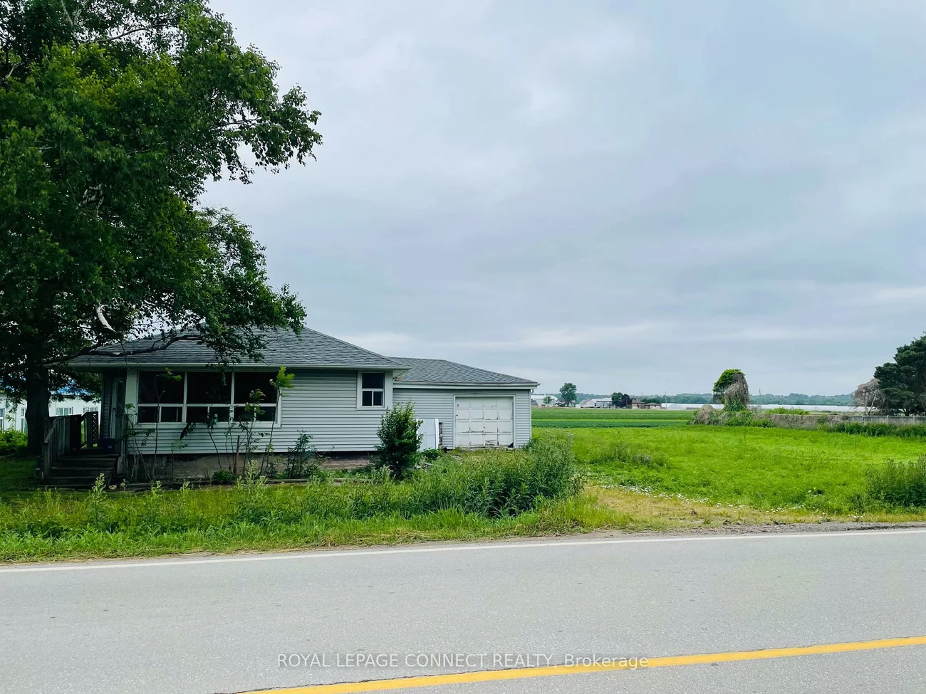 19470, Dufferin, Rural King, King
