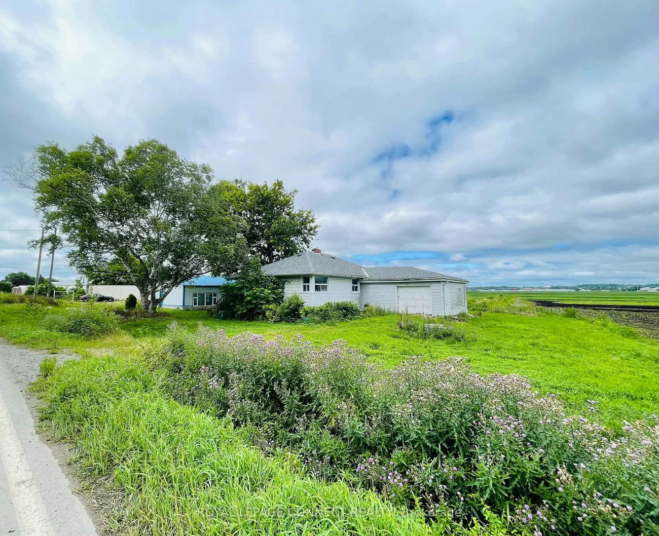 19470, Dufferin, Rural King, King