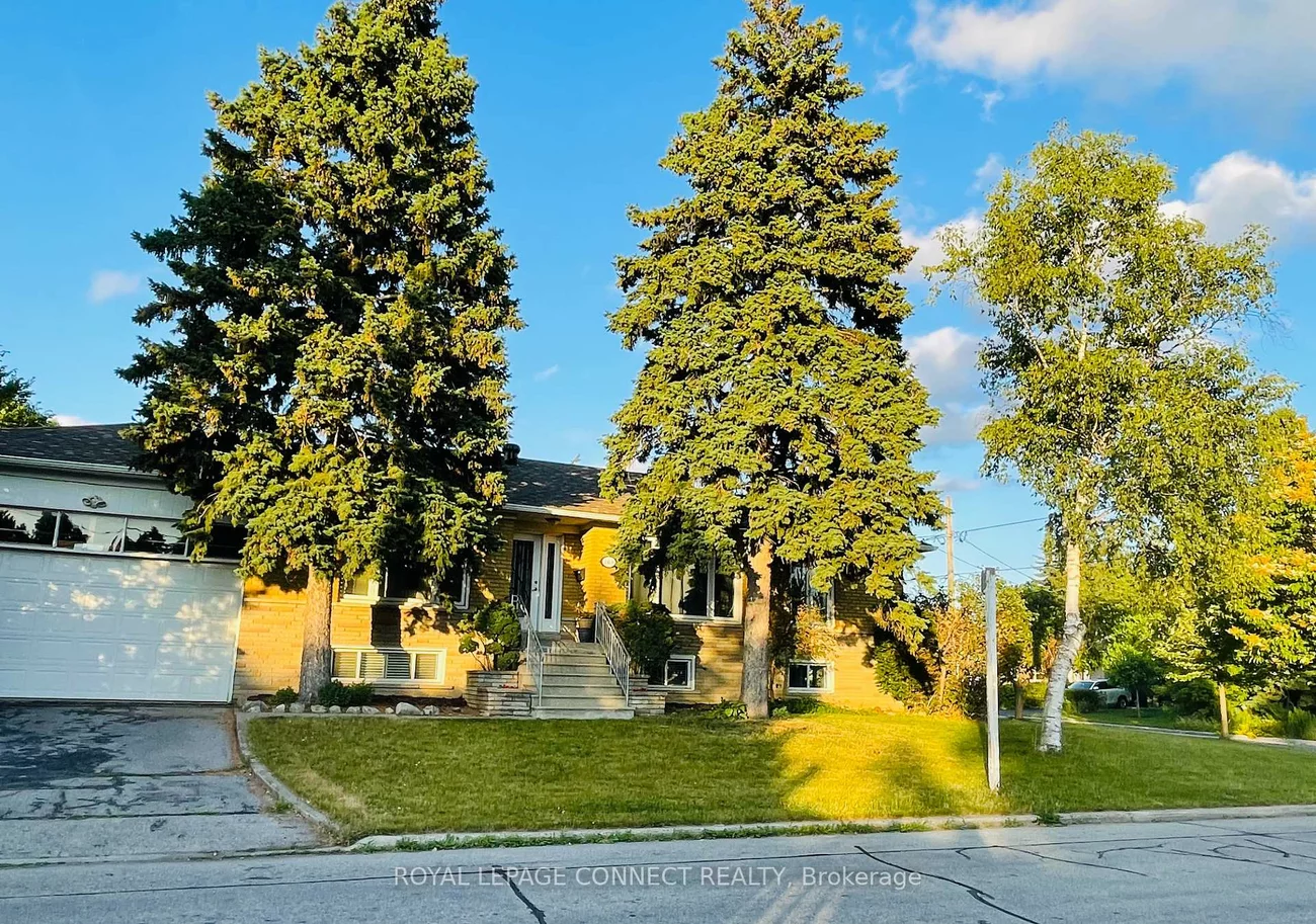 19470, Dufferin, Rural King, King