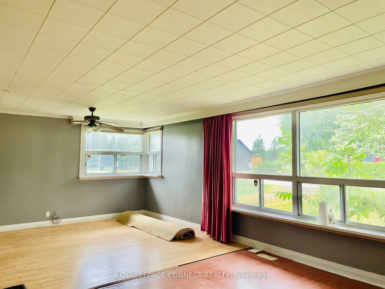 19470, Dufferin, Rural King, King