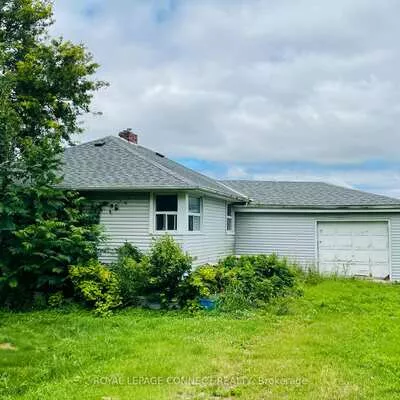 19470, Dufferin, Rural King, King