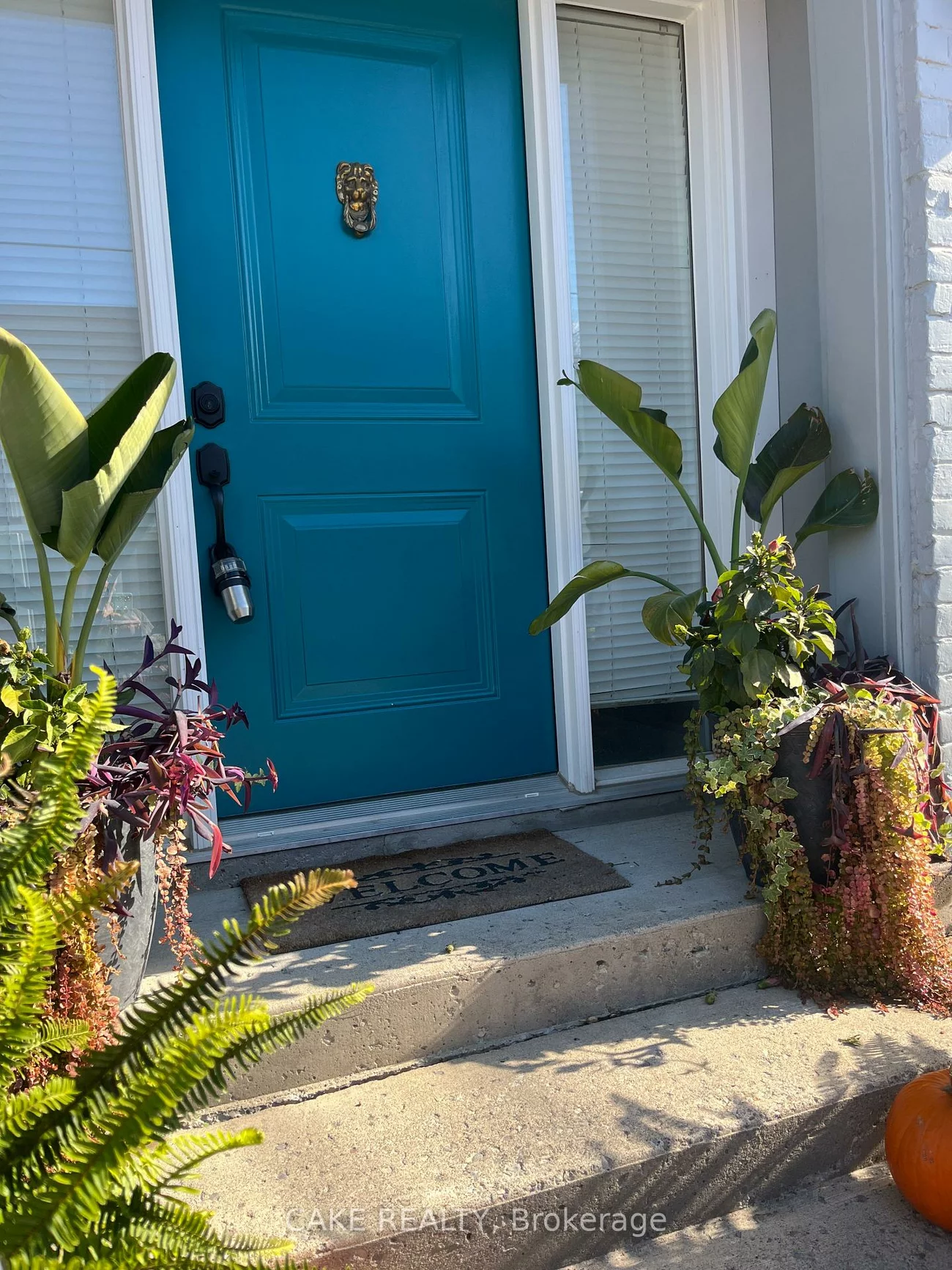 290, MAIN, Schomberg, King