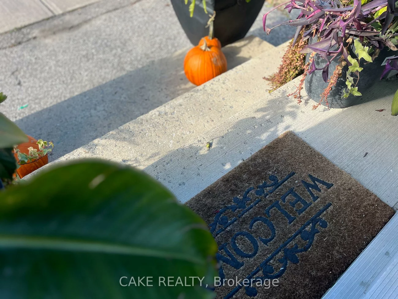 290, MAIN, Schomberg, King