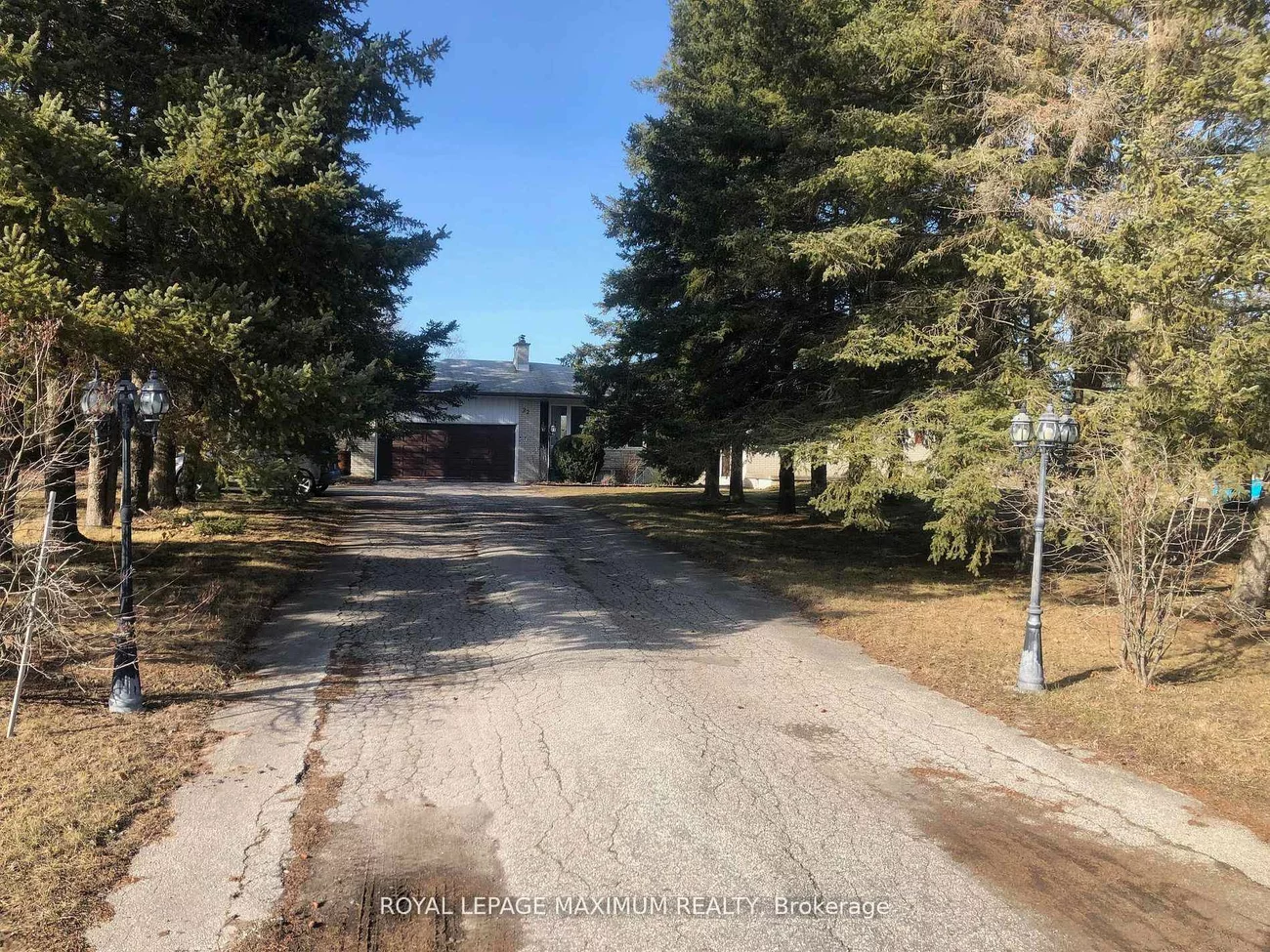 22, Diana, Nobleton, King