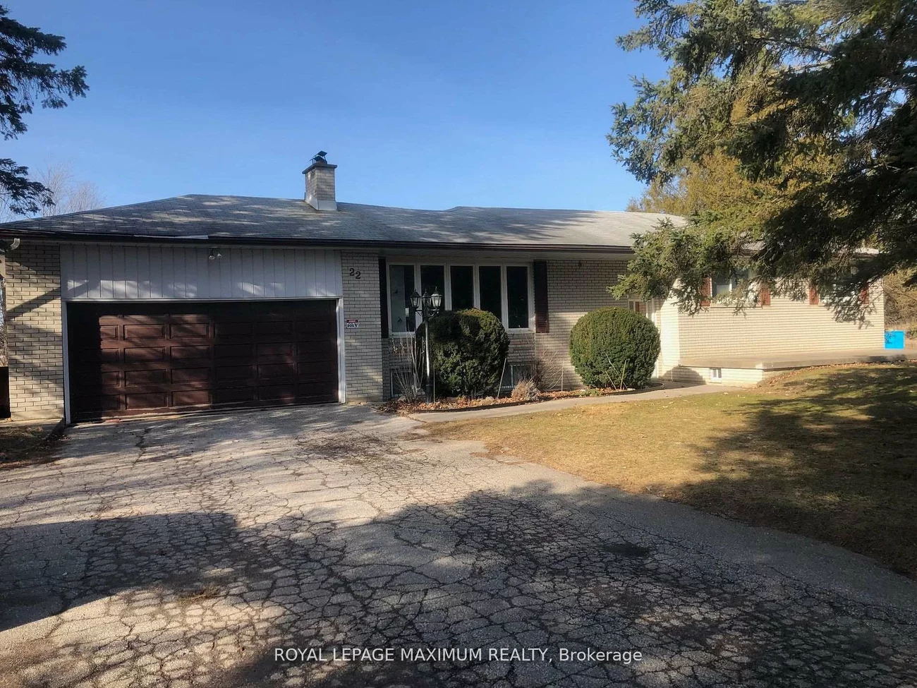 22, Diana, Nobleton, King