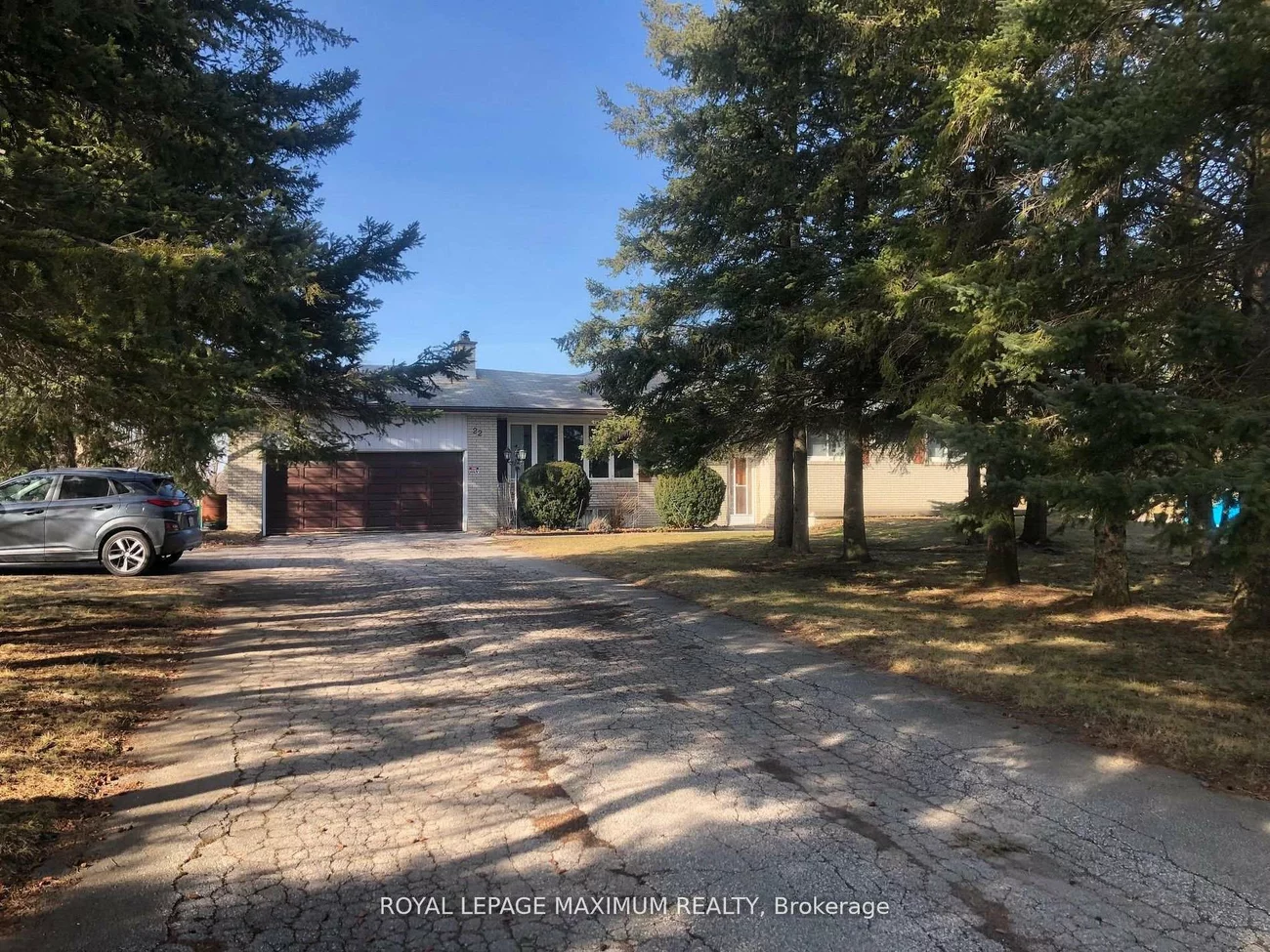 22, Diana, Nobleton, King