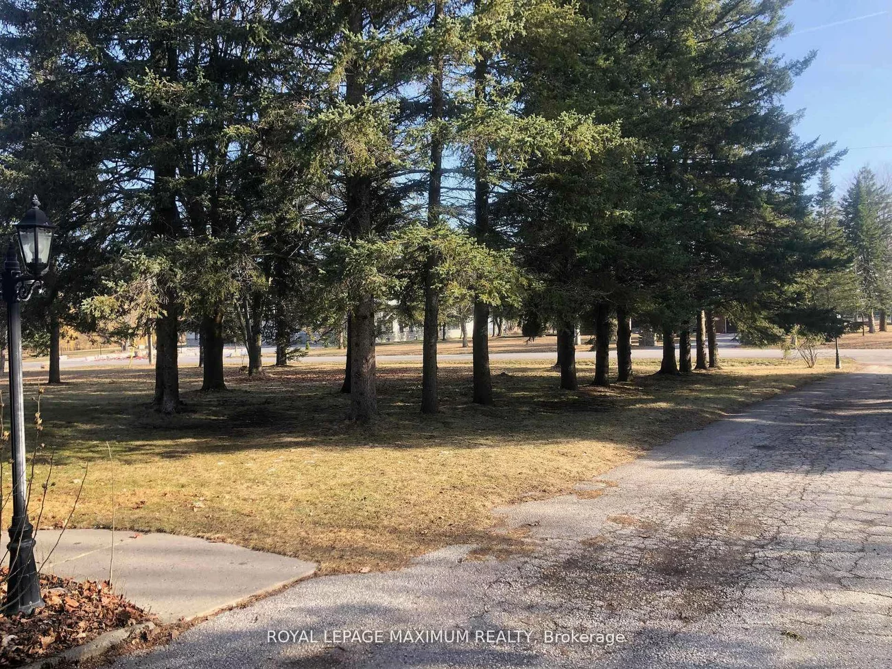 22, Diana, Nobleton, King