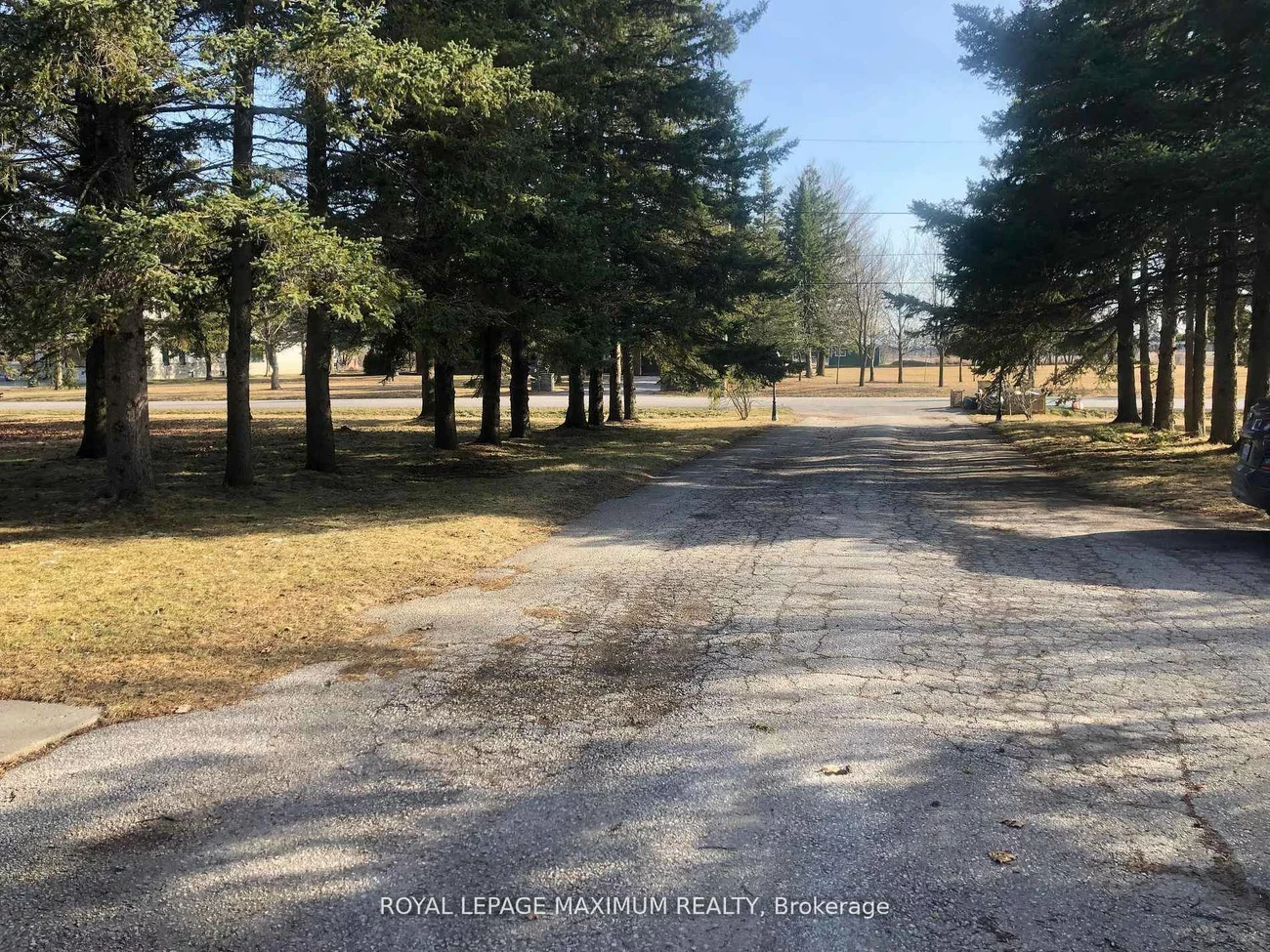 22, Diana, Nobleton, King