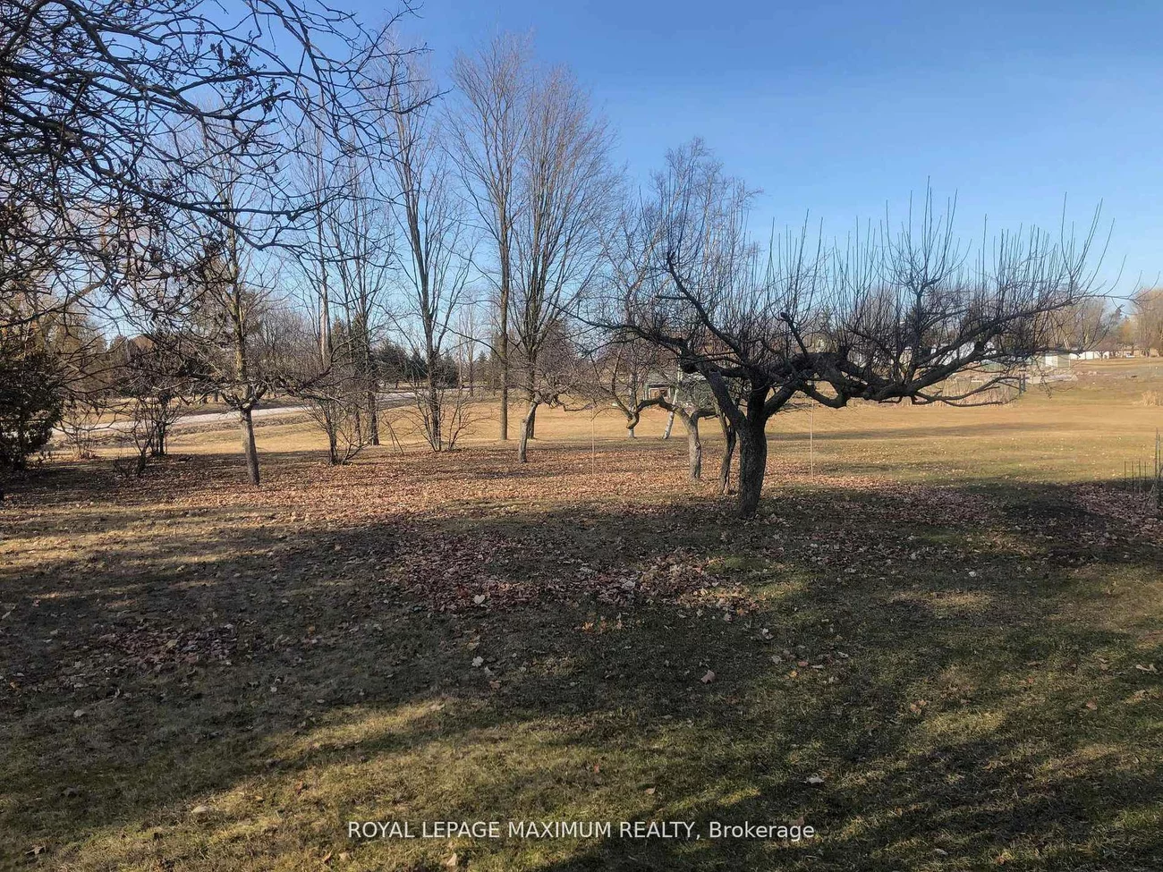 22, Diana, Nobleton, King