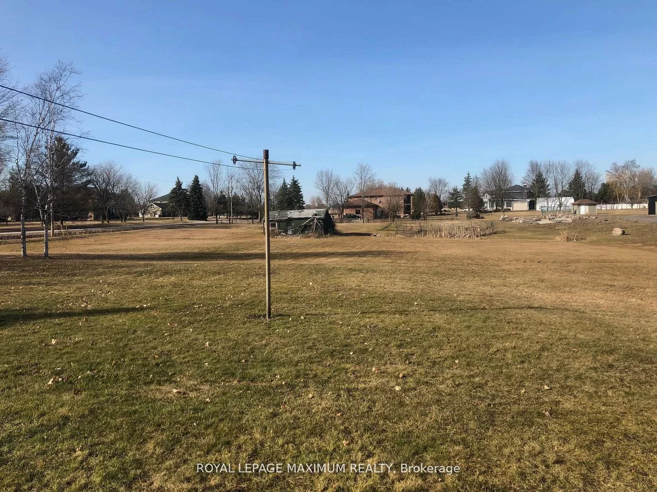 22, Diana, Nobleton, King