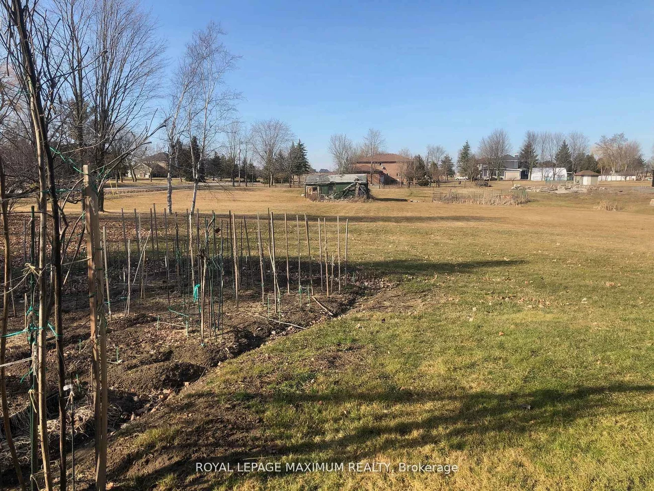 22, Diana, Nobleton, King