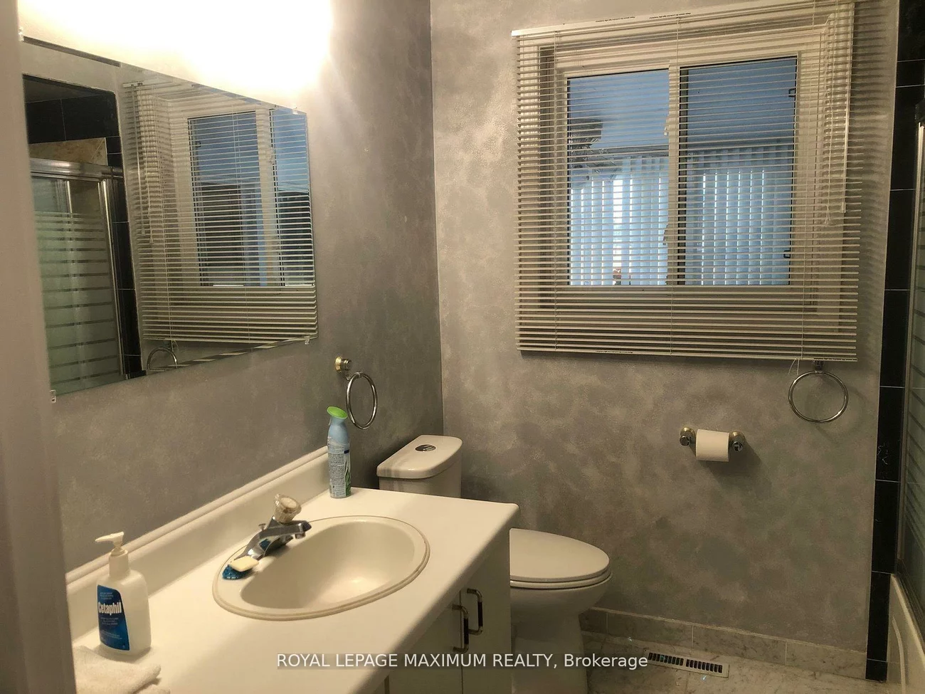 22, Diana, Nobleton, King