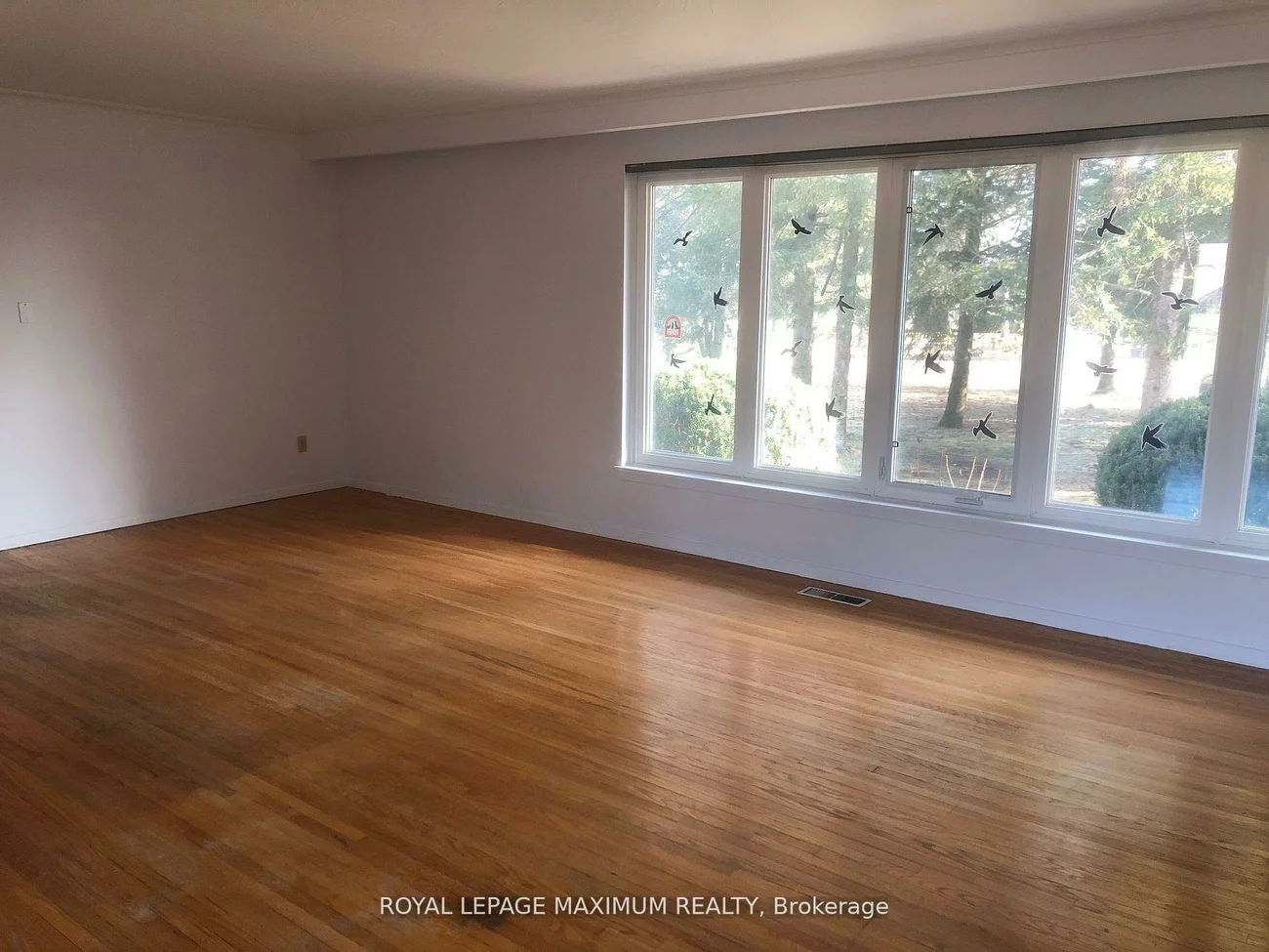 22, Diana, Nobleton, King