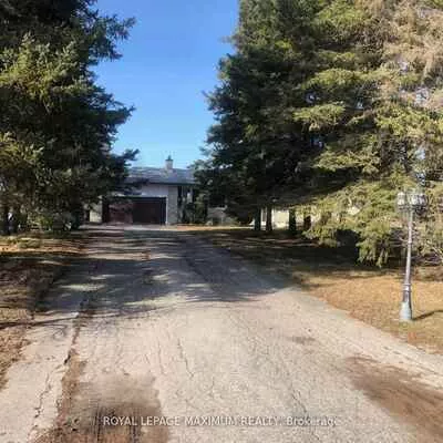 22, Diana, Nobleton, King