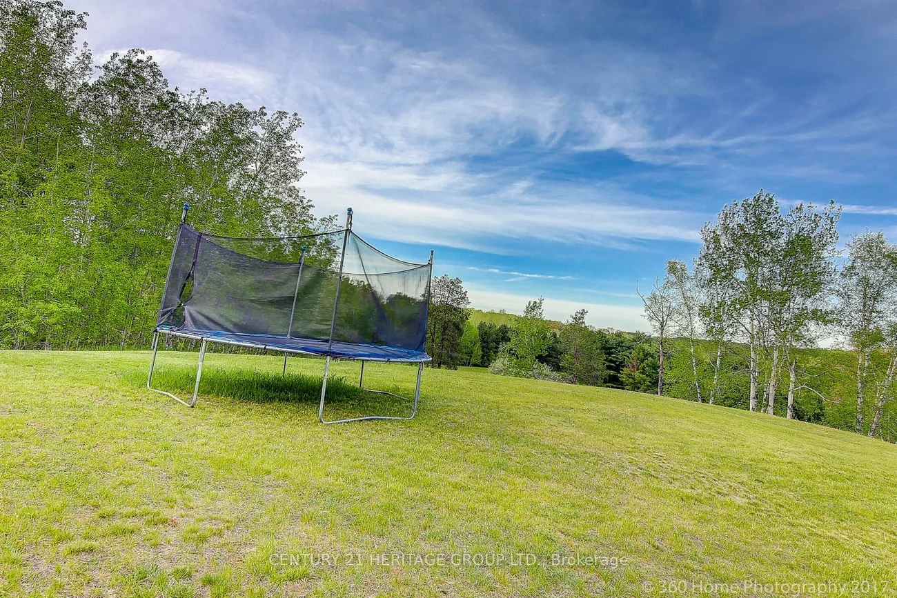 4175, 17th, Rural King, King