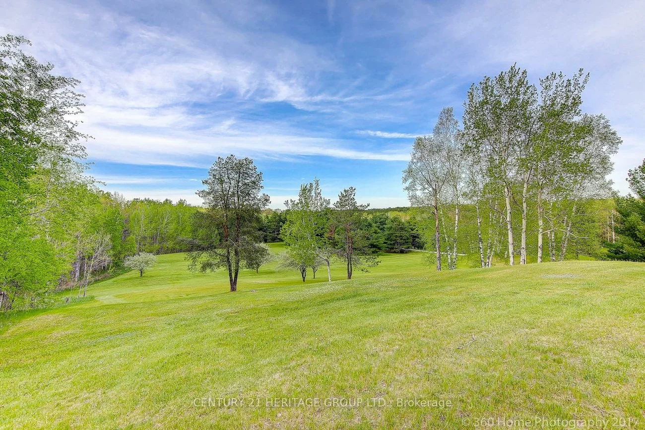 4175, 17th, Rural King, King