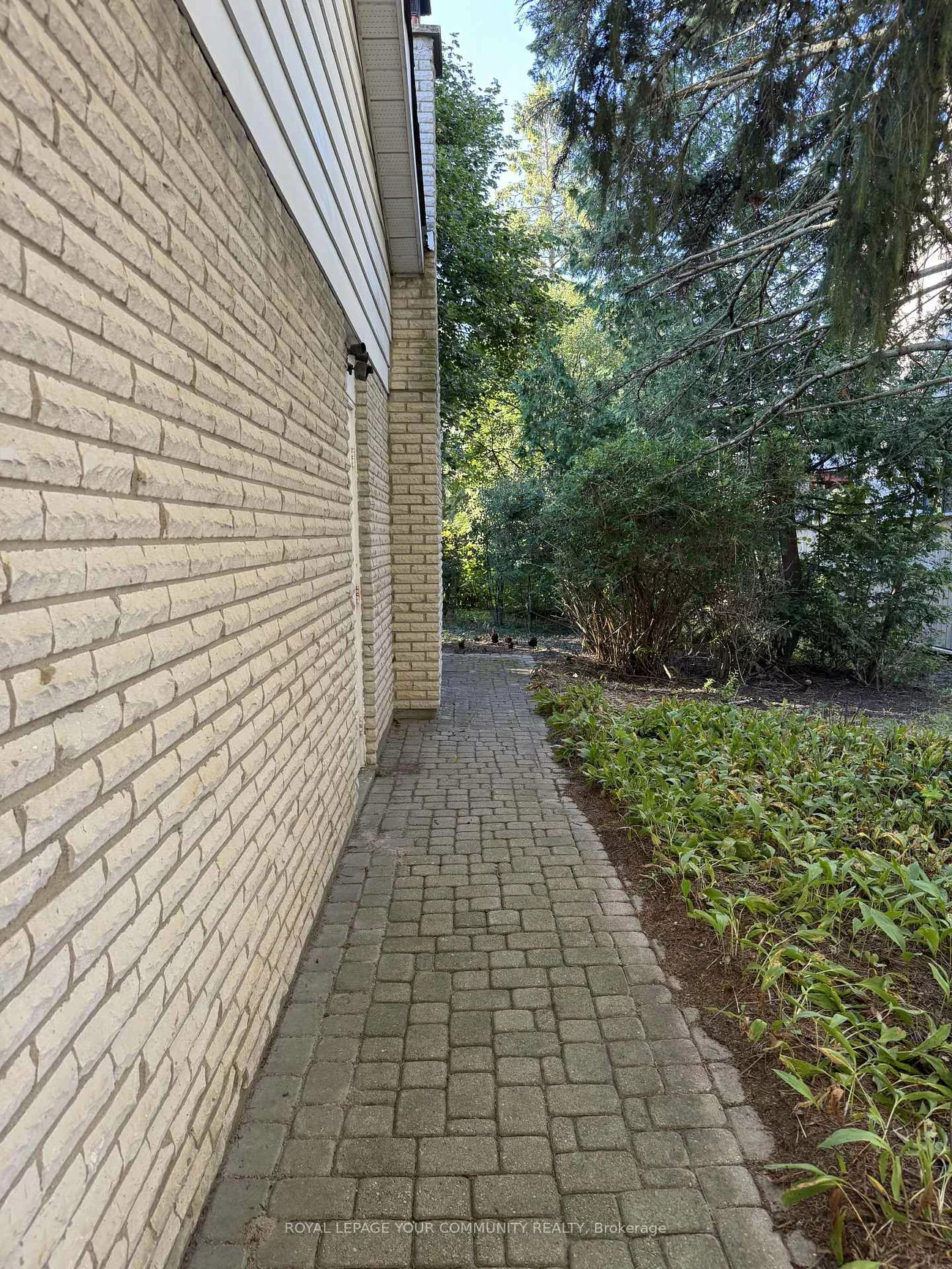 235, Banner, King City, King