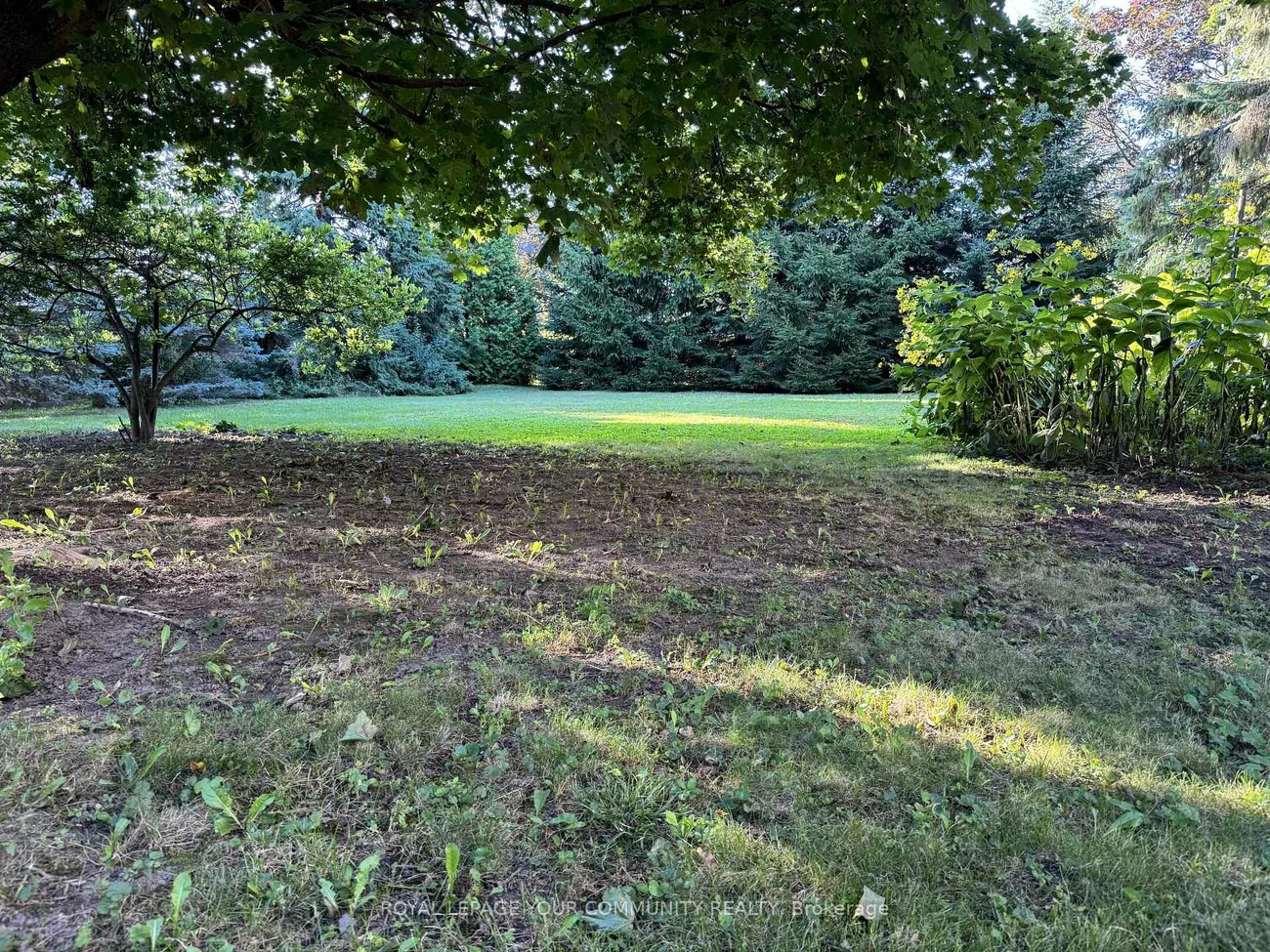 235, Banner, King City, King