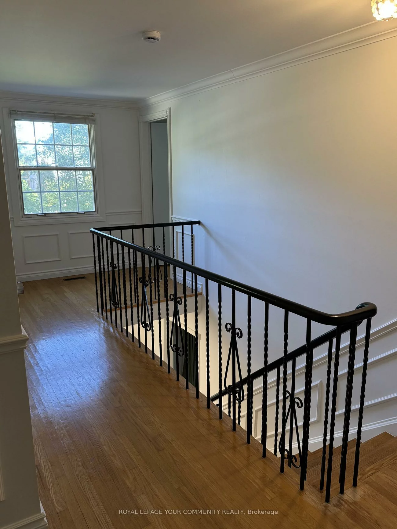 235, Banner, King City, King