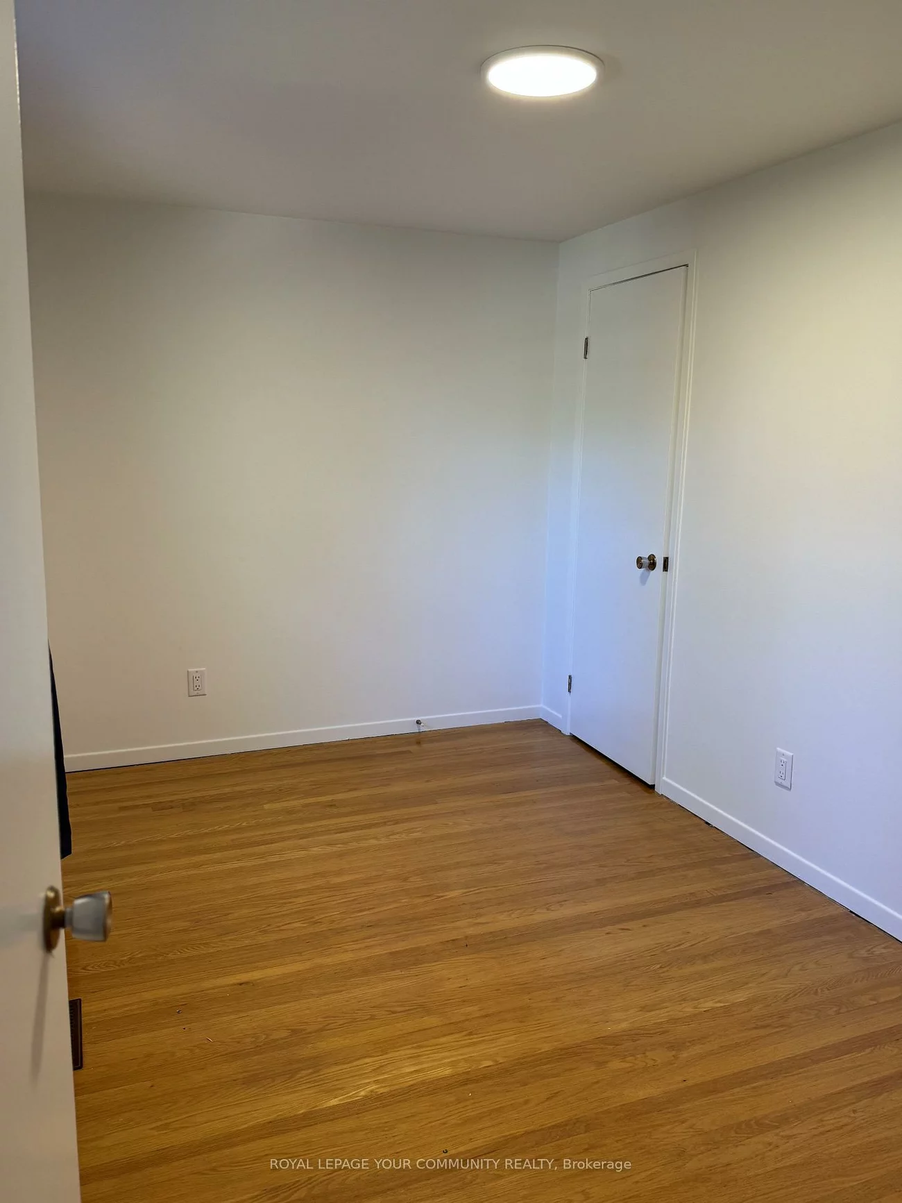 235, Banner, King City, King