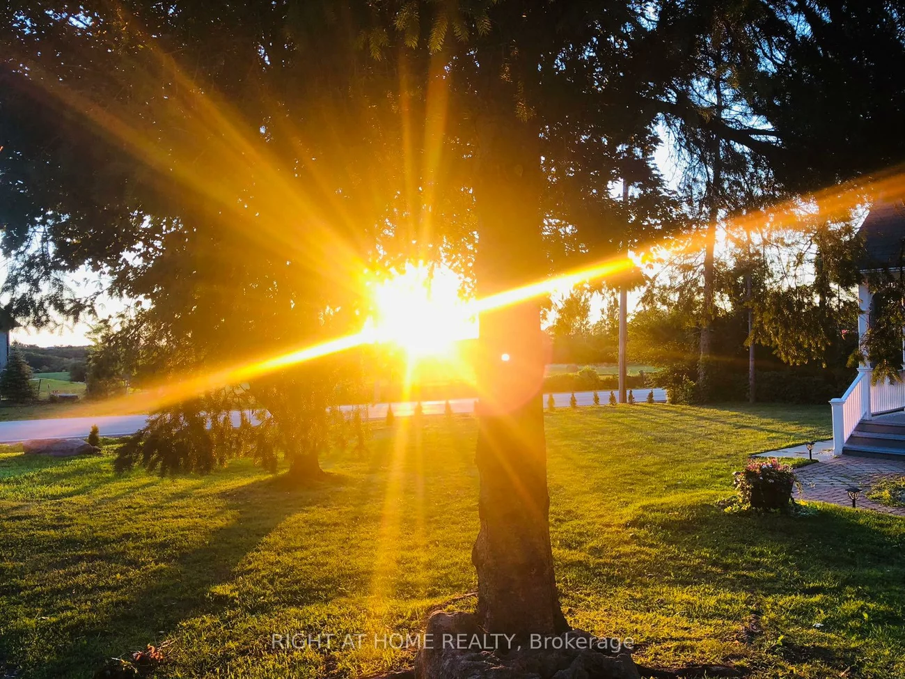 16675, Keele, Rural King, King