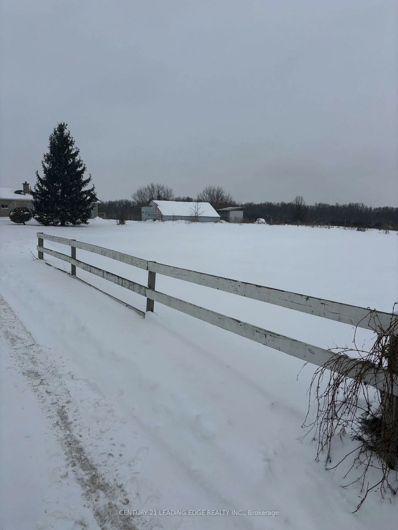 5150, ON-9, Schomberg, King