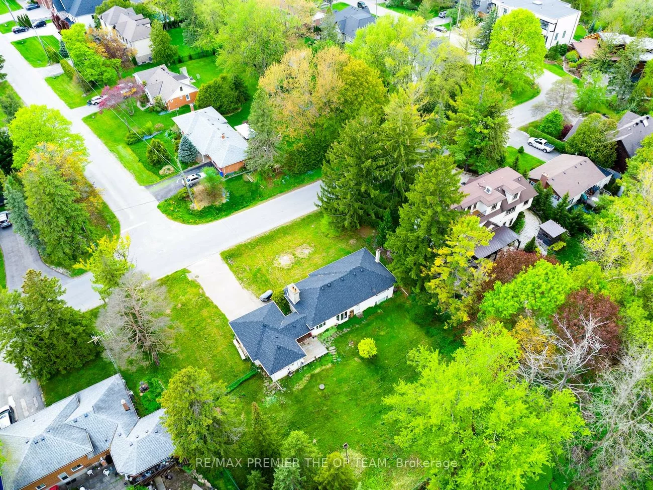 37, John, King City, King