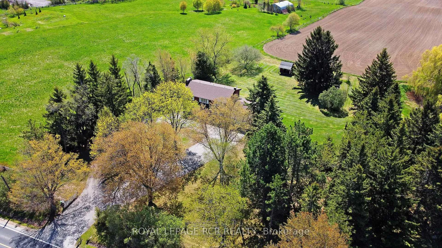 6215, 17th, Rural King, King