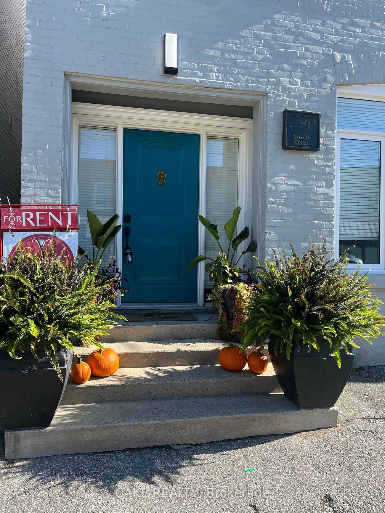 290, MAIN, Schomberg, King