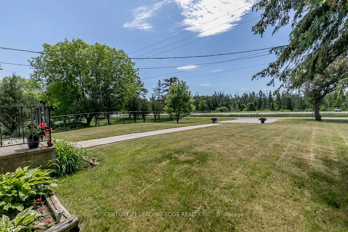 3930, Highway 9, Rural King, King