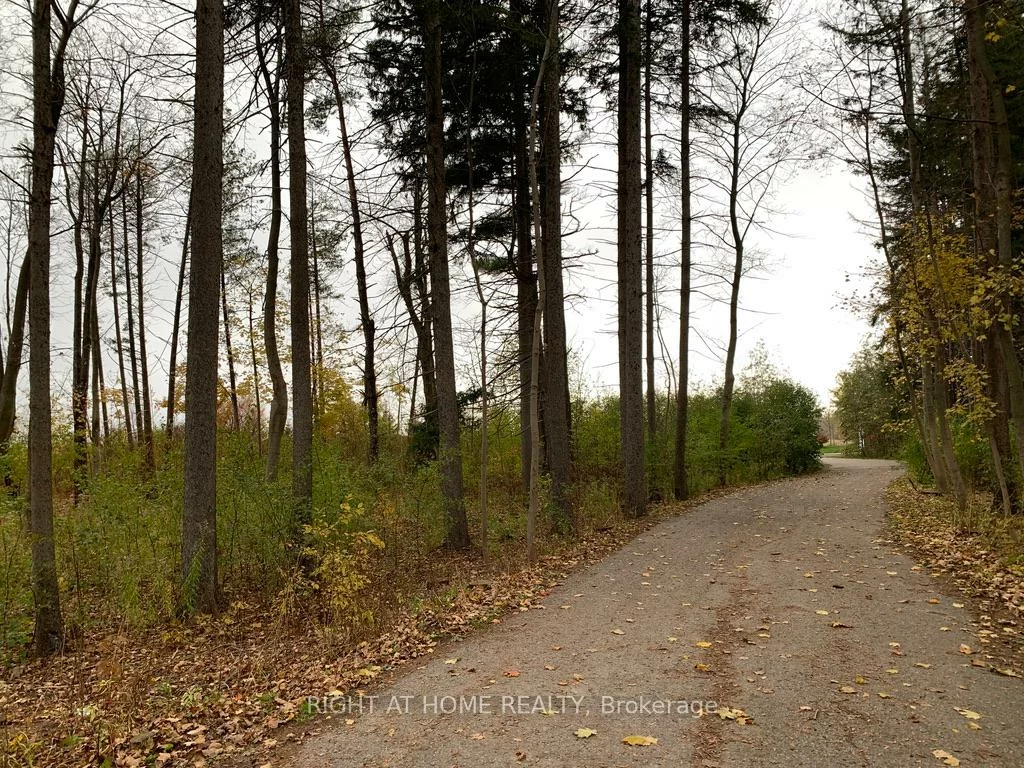 13760, Keele, Rural King, King