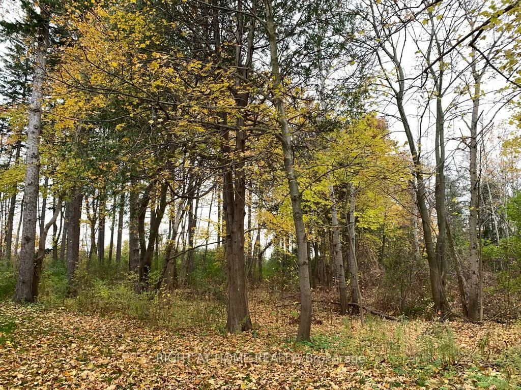 13760, Keele, Rural King, King