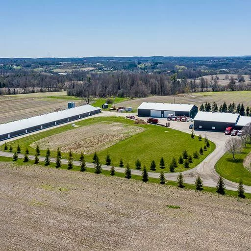 1783, Lloydtown-Aurora, Rural King, King