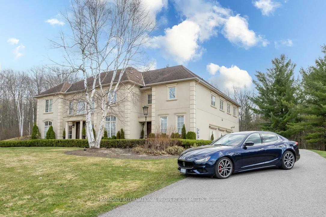 65, Kingswood, Rural King, King