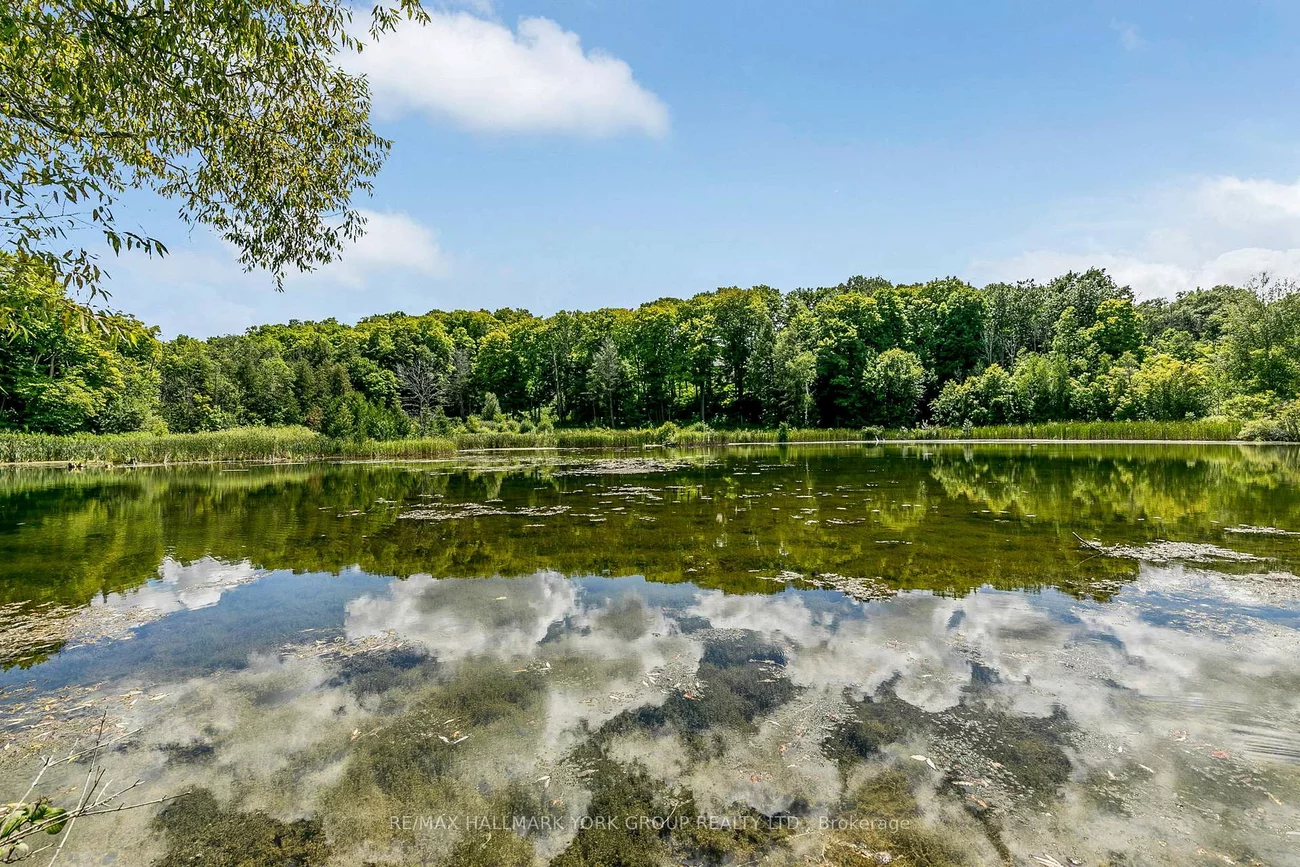 1865, Davis, Rural King, King