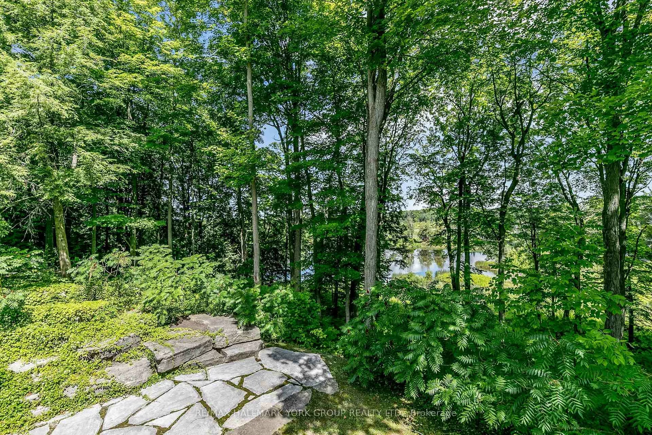 1865, Davis, Rural King, King