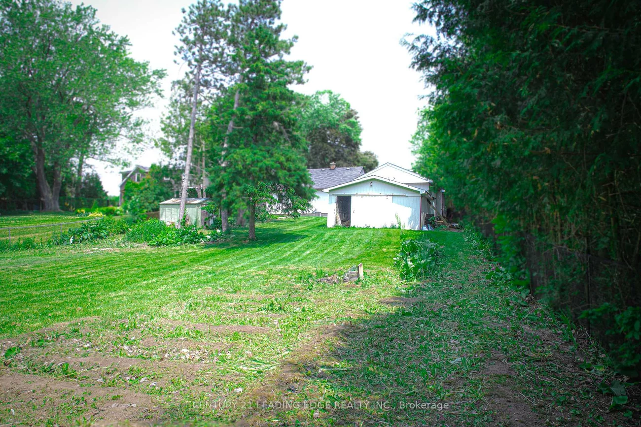 14376, Jane, King City, King