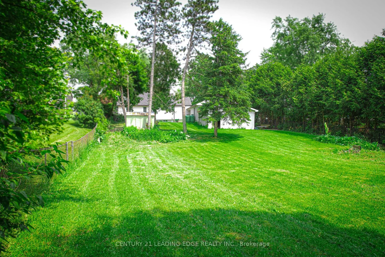 14376, Jane, King City, King