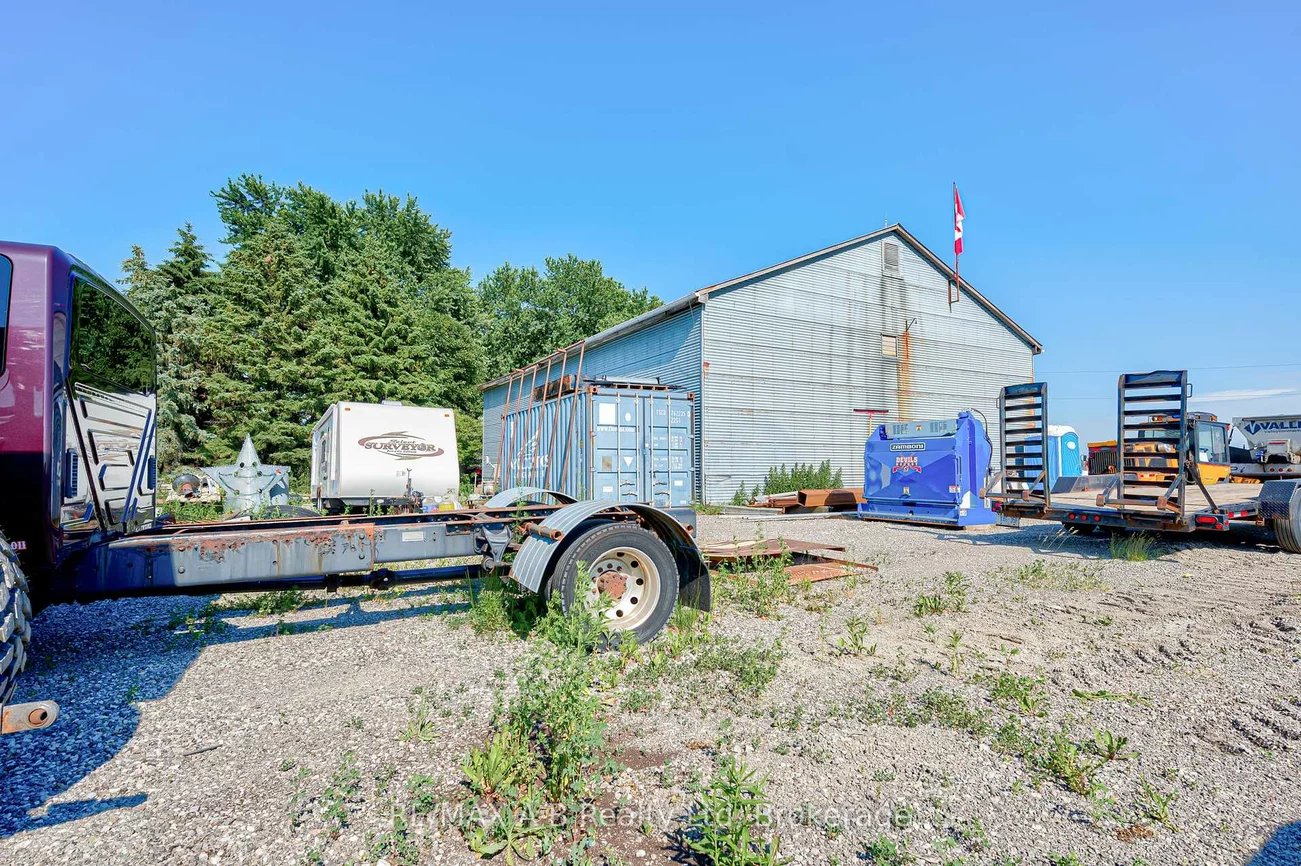 170, Wilhelmina, Rural King, King