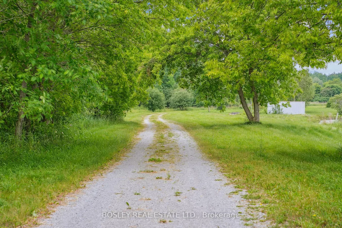 18156, Dufferin, Rural King, King