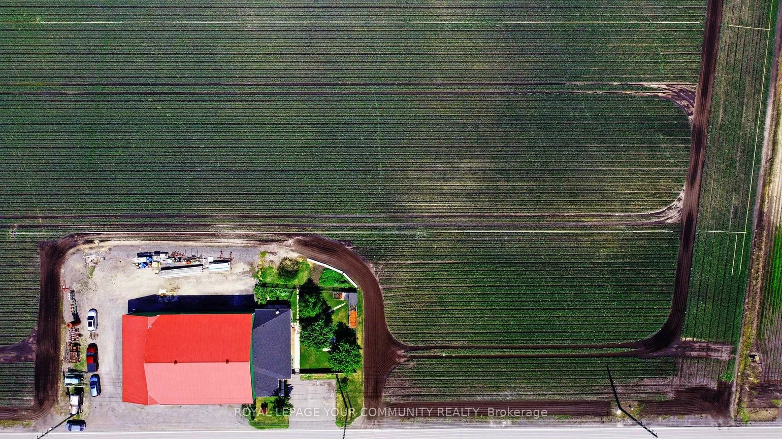 240, King, Rural King, King
