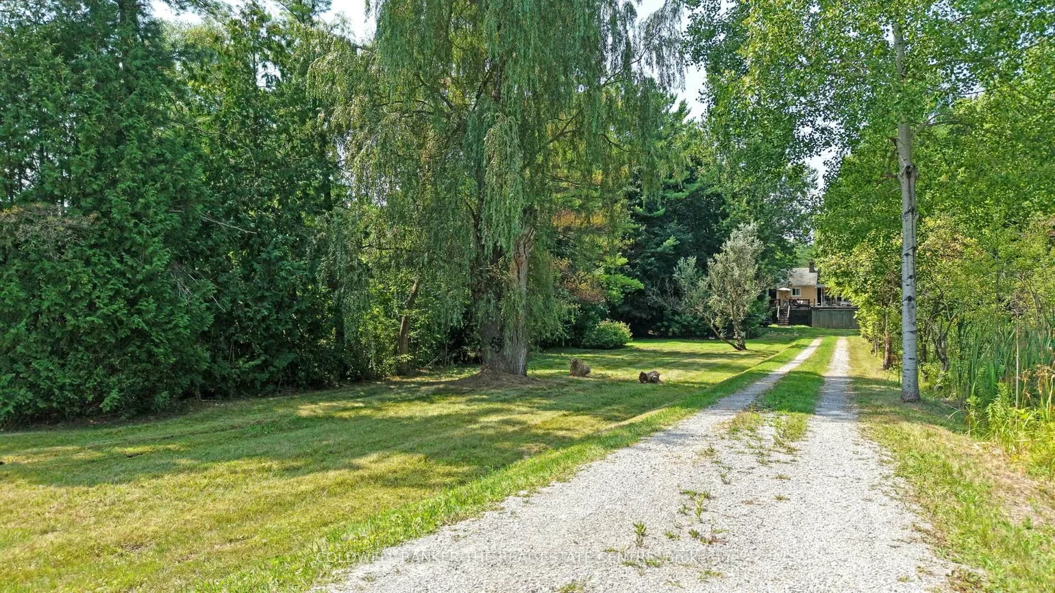 15600, Weston, Rural King, King