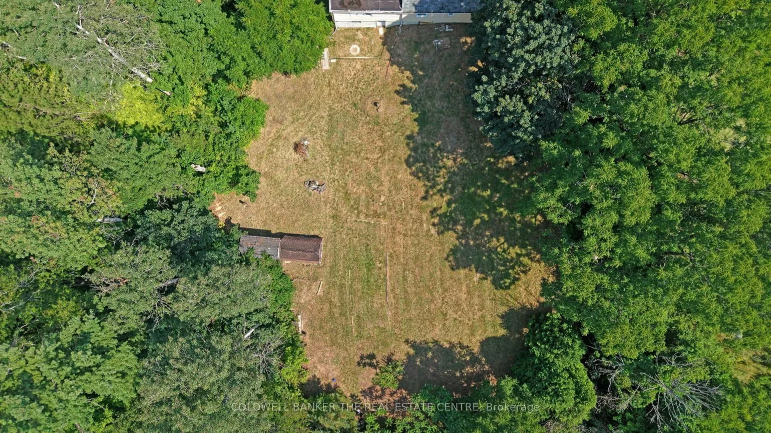 15600, Weston, Rural King, King