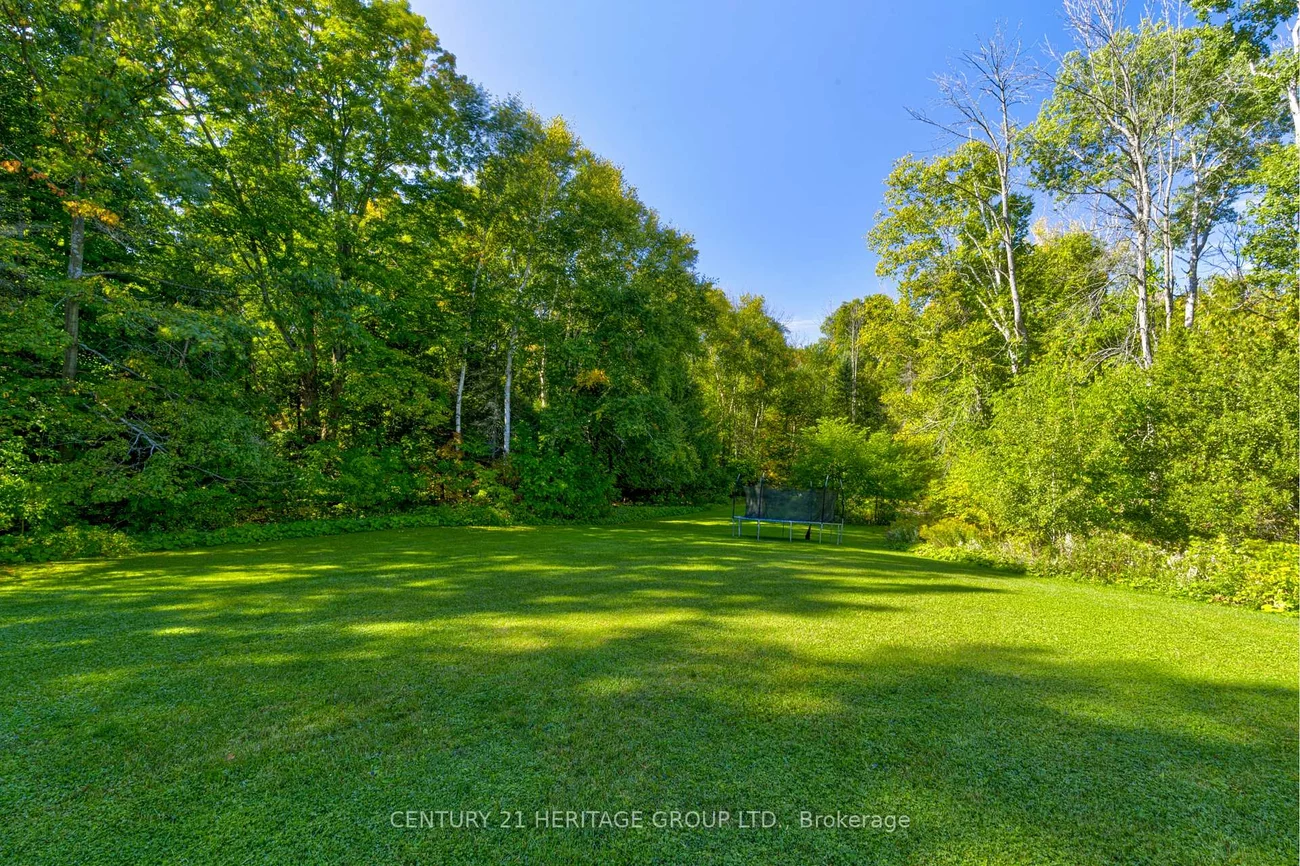 167, Brule, Pottageville, King