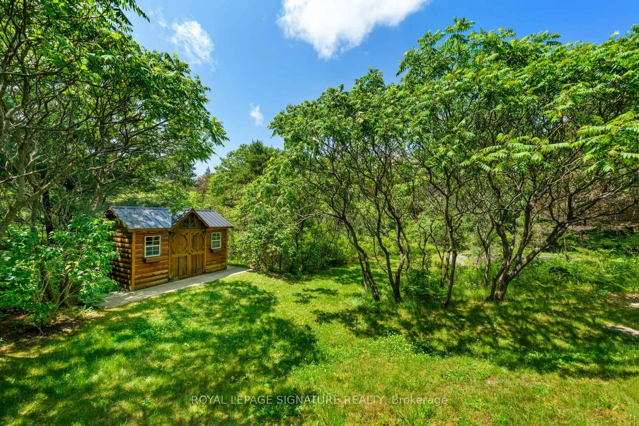 30, Kingswood, Rural King, King